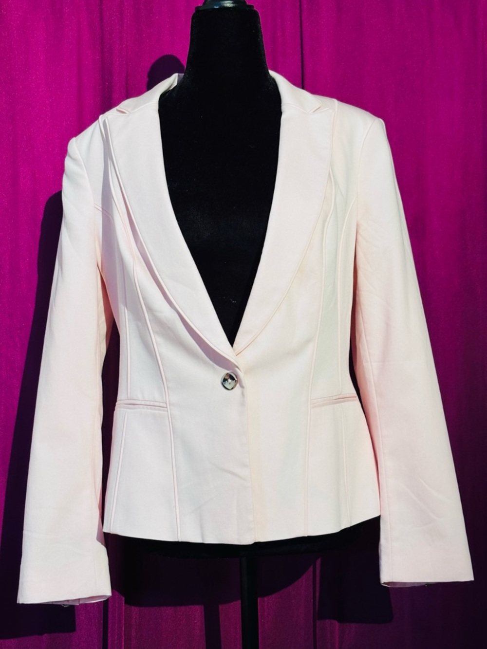 White House Black Market Women's Pale Pink Tailored Blazer